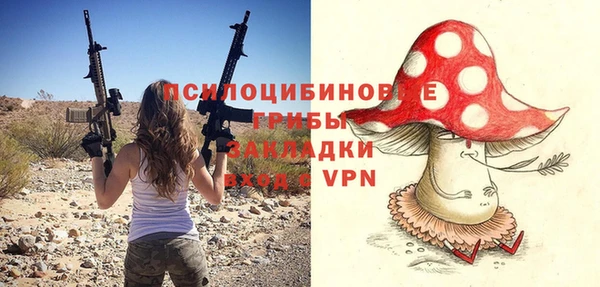 гидропоника Арсеньев