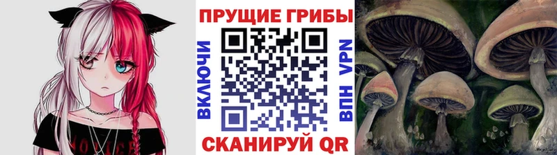 Галлюциногенные грибы прущие грибы  Купить закладки  Клин 